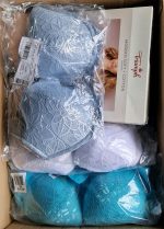 Women's Branded Lingerie NWT Wholesale Liquidation – 500 Units – Bras, Panties & Intimates at €0.50 Per Unit